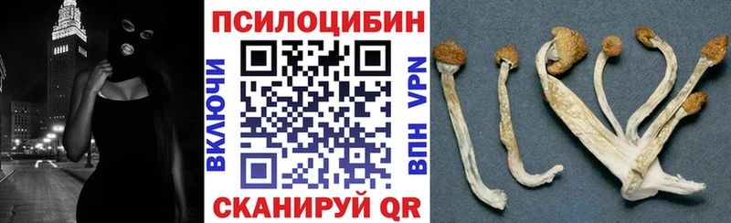 Псилоцибиновые грибы прущие грибы  наркота  Иноземцево 